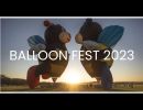 balloonfest festival of